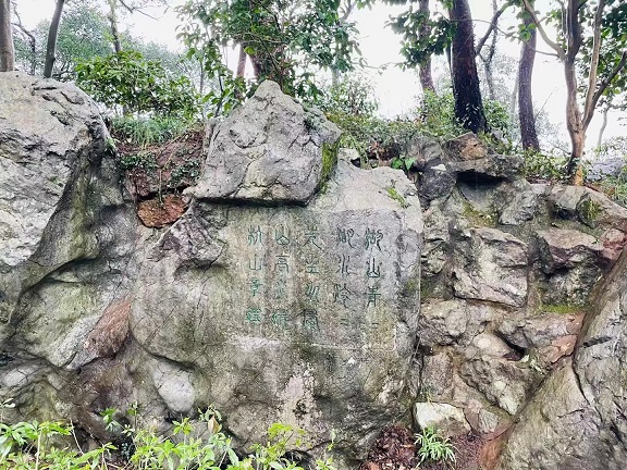 杨公提4.jpg