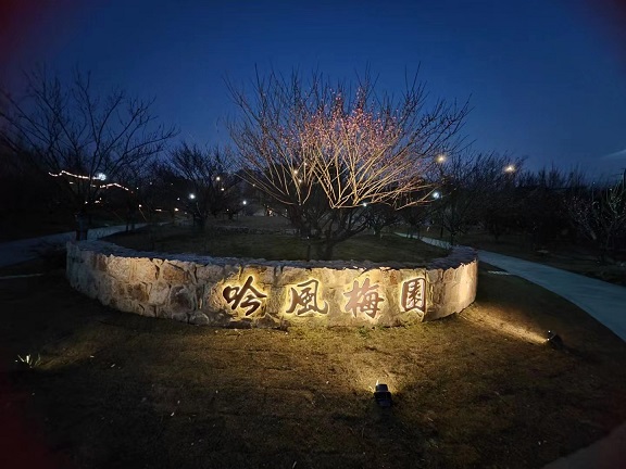 吟风梅园3.jpg