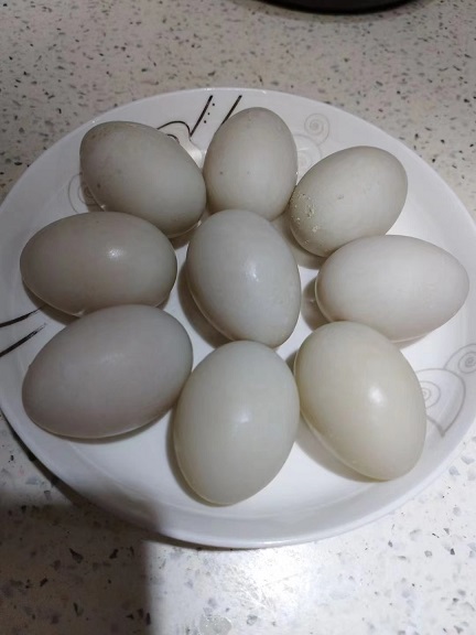 生鸡蛋2.jpg