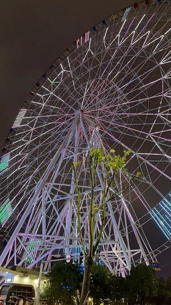 南昌之星摩天轮2.jpg