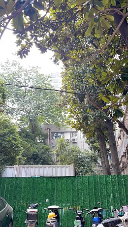 文三路学院路口1.jpg