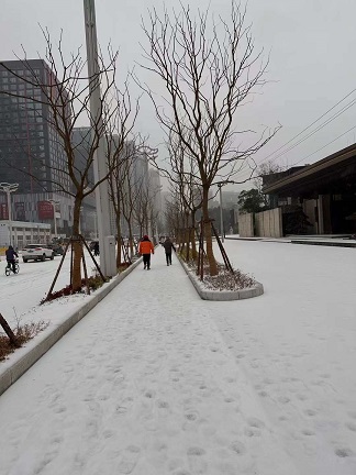 武汉大雪下的路面.jpg
