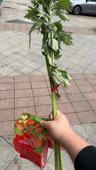 端午节发粽子2.jpg