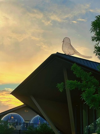 良渚夏日夜景3.jpg