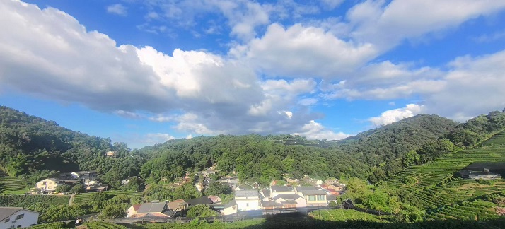 十里琅珰看茶山2.jpg