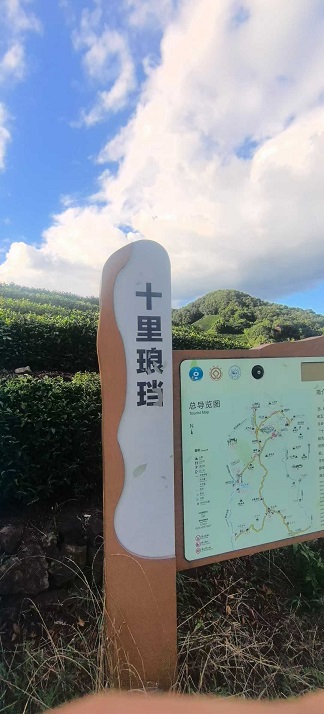 十里琅珰看茶山1.jpg