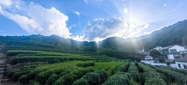 十里琅珰看茶山4.jpg