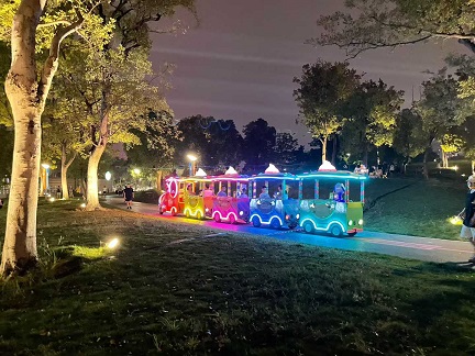 Festival 2025 4.jpg