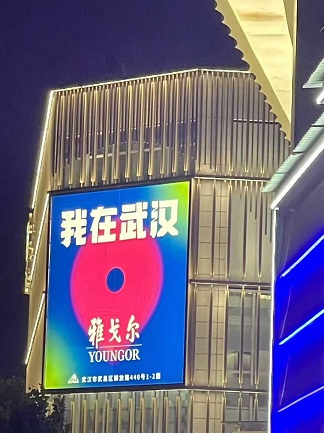 武汉美景1.jpg