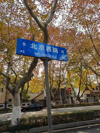 漫步城市的路标1.jpg