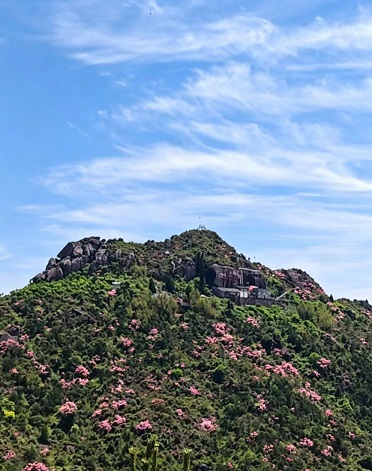 乐清白龙山3.jpg