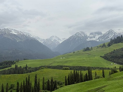 恰西草原风景1.jpg