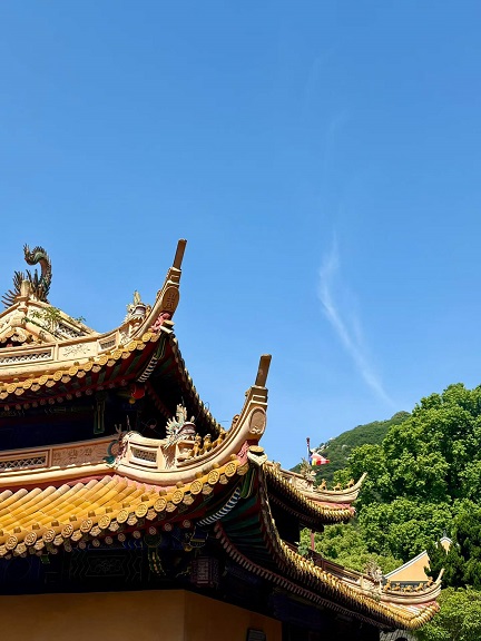 燕子归巢3.jpg