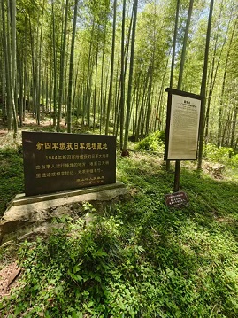 亲子活动登山1.jpg