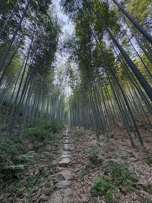 亲子活动登山4.jpg