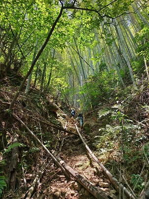 亲子活动登山3.jpg