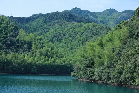 乐清福溪水库1.jpg