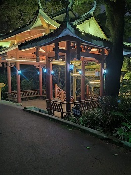夜跑1.jpg
