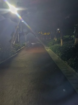 夜跑3.jpg