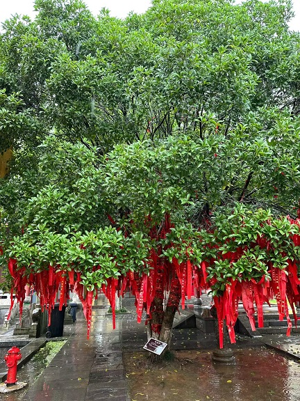 南京高淳老街4.jpg