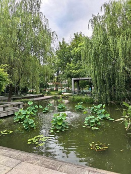 学军西溪2.jpg