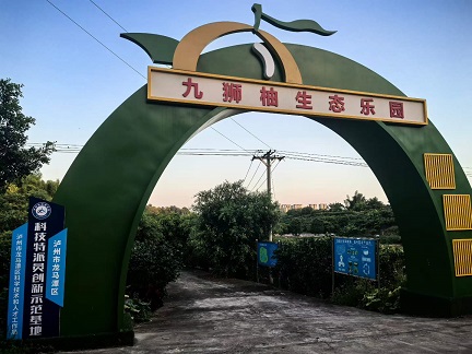 九狮柚生态乐园1.jpg