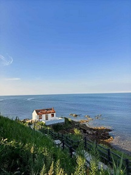 威海滨海-孤独公约2.jpg