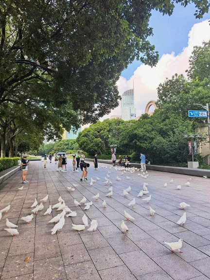 上海人民广场2.jpg