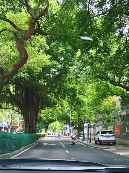 有福之州来福州2.jpg