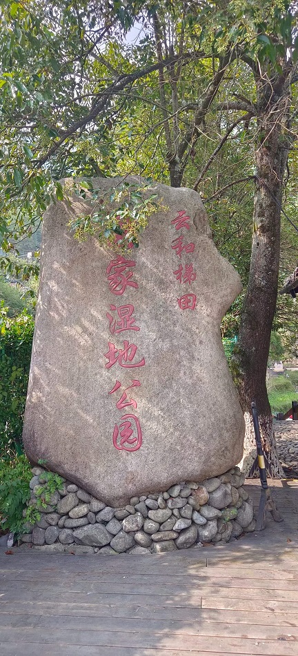 云和梯田1.jpg